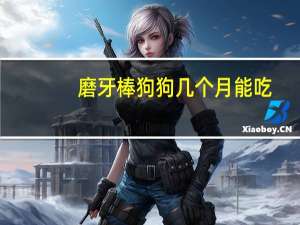 磨牙棒狗狗几个月能吃