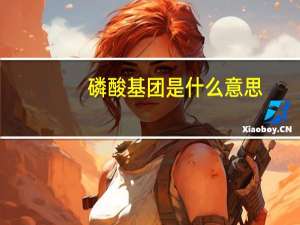 磷酸基团是什么意思