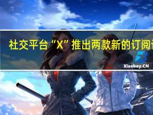 社交平台“X”推出两款新的订阅计划
