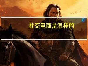 社交电商是怎样的