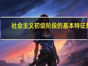 社会主义初级阶段的基本特征是()