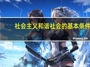 社会主义和谐社会的基本条件（社会主义和谐社会的基本特征）