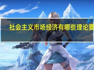 社会主义市场经济有哪些理论要点