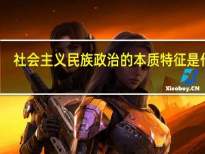 社会主义民族政治的本质特征是什么
