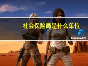 社会保险局是什么单位