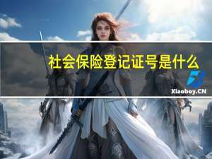 社会保险登记证号是什么