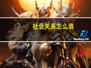 社会关系怎么填