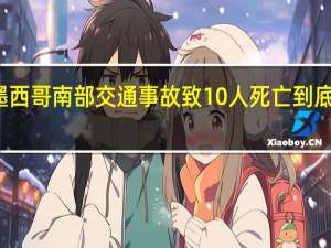社会墨西哥南部交通事故致10人死亡 到底什么情况嘞