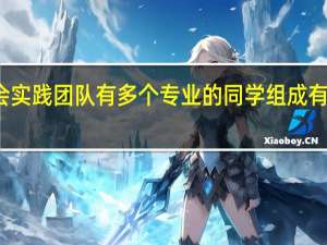 社会实践团队有多个专业的同学组成有什么好处