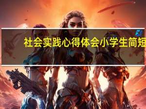 社会实践心得体会小学生简短