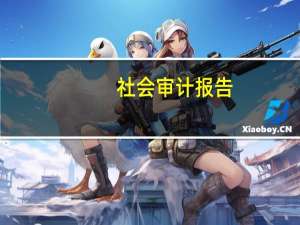 社会审计报告（社会审计）