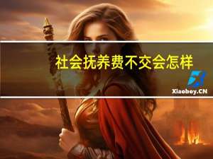 社会抚养费不交会怎样