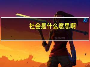 社会是什么意思啊（社会是什么意思）