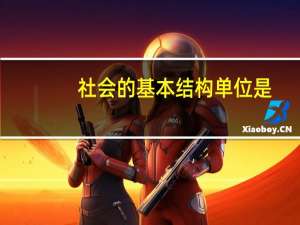 社会的基本结构单位是