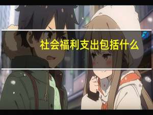 社会福利支出包括什么