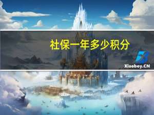社保一年多少积分
