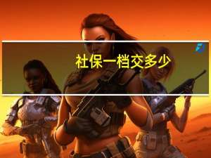 社保一档交多少