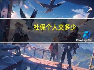 社保个人交多少