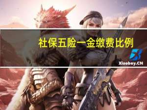 社保五险一金缴费比例（社保和五险一金的区别）