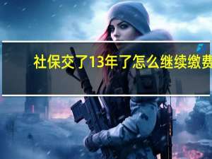 社保交了13年了怎么继续缴费