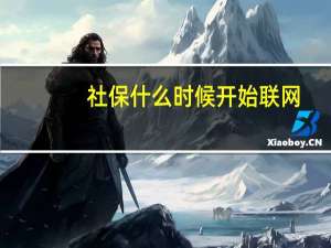 社保什么时候开始联网