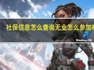 社保信息怎么查询　无业怎么参加社保