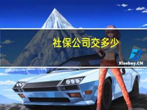 社保公司交多少