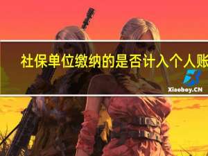 社保单位缴纳的是否计入个人账户（社保单位）