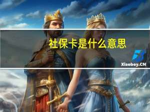 社保卡是什么意思