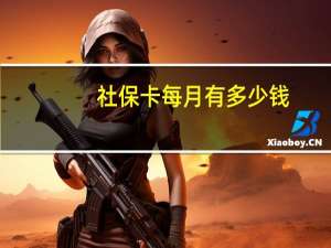 社保卡每月有多少钱