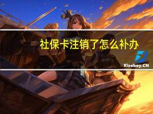 社保卡注销了怎么补办