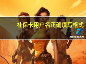社保卡用户名正确填写格式