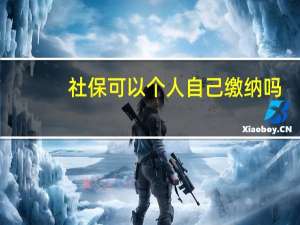 社保可以个人自己缴纳吗