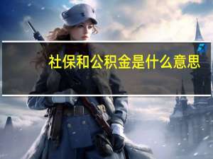 社保和公积金是什么意思