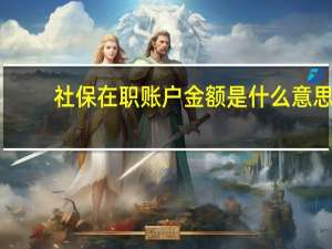 社保在职账户金额是什么意思