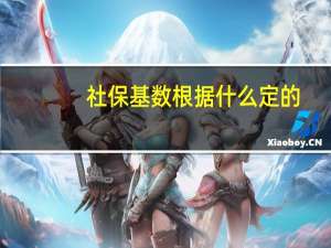 社保基数根据什么定的