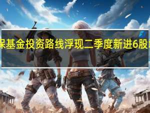 社保基金投资路线浮现 二季度新进6股增持21股