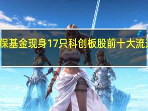 社保基金现身17只科创板股前十大流通股东榜