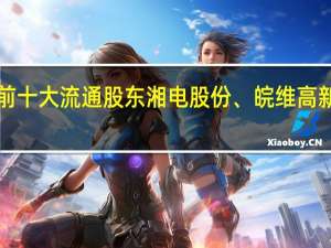 社保基金现身4股前十大流通股东湘电股份、皖维高新、山东药玻持股量居前