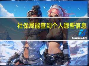 社保局能查到个人哪些信息