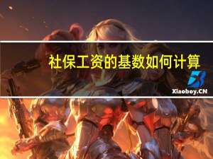 社保工资的基数如何计算