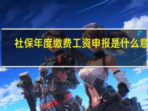 社保年度缴费工资申报是什么意思