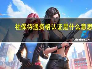 社保待遇资格认证是什么意思