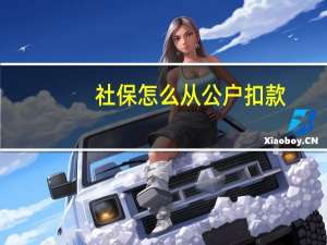 社保怎么从公户扣款
