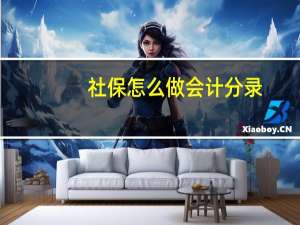 社保怎么做会计分录