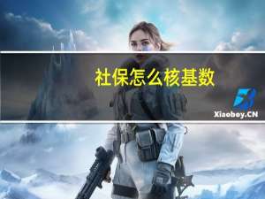 社保怎么核基数