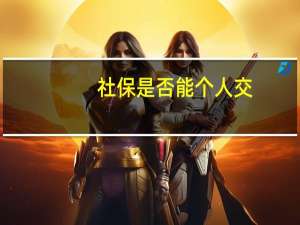 社保是否能个人交