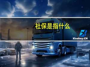 社保是指什么