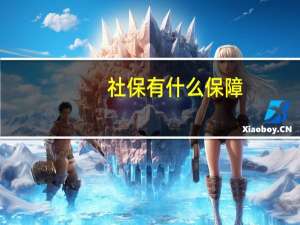 社保有什么保障