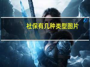 社保有几种类型图片（社保有几种类型）